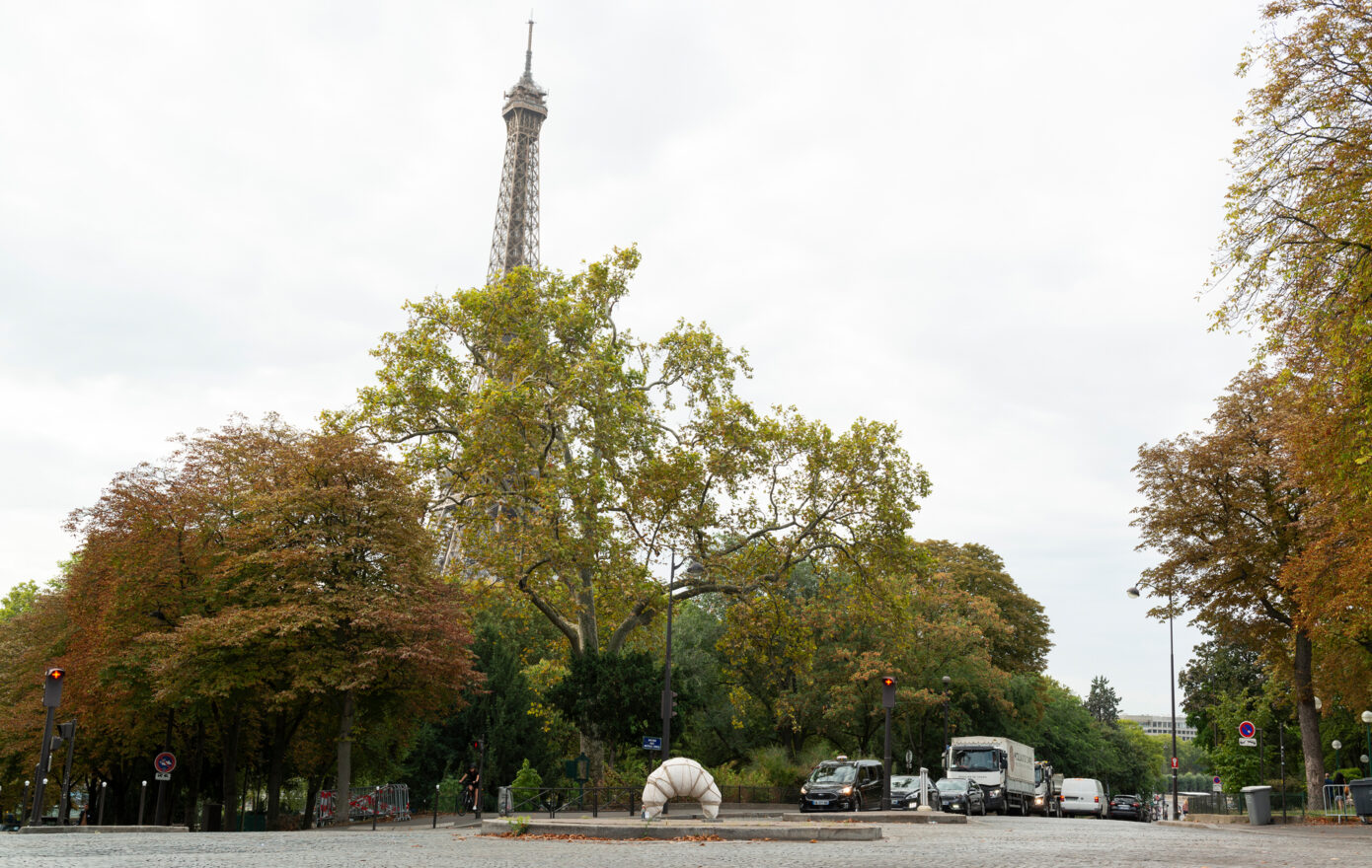 ARC DE CROISSANT